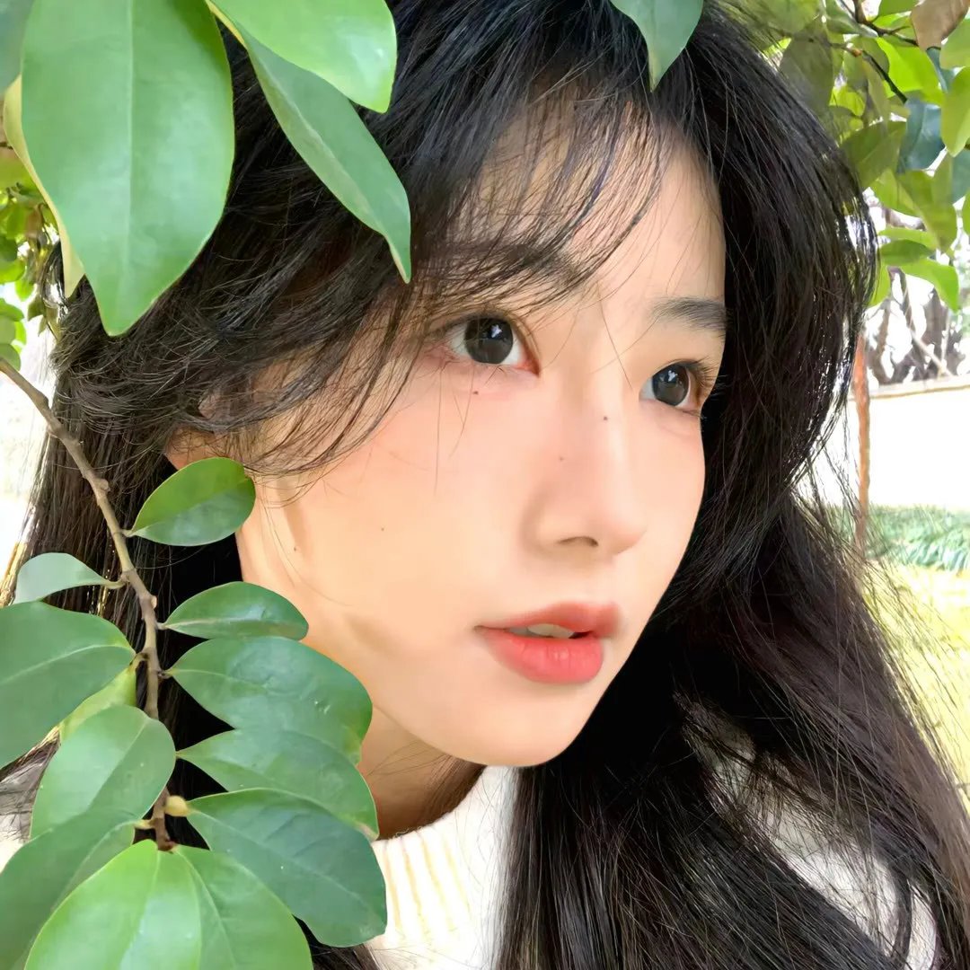 丹妮尔·凯布尔：目击者